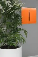 Orange Wiring Accessories Trendi Decorative Screwless Orange Wiring Accessories Trendi Decorative Screwless